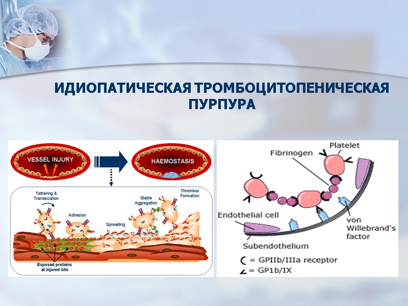 ИДИОПАТИЧЕСКАЯ ТРОМБОЦИТОПЕНИЧЕСКАЯ ПУРПУРА